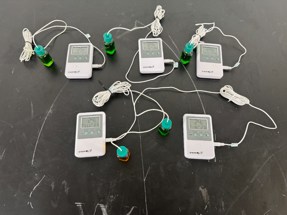 Image of VWR Traceable Digital Thermometers - Quantity 5